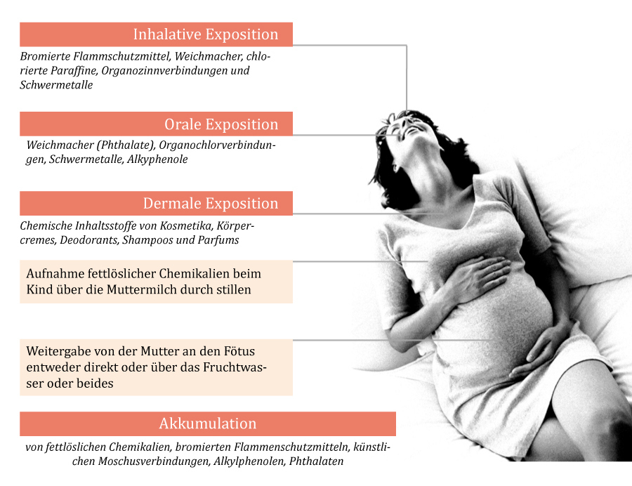 Gesundheitsaspekte_03